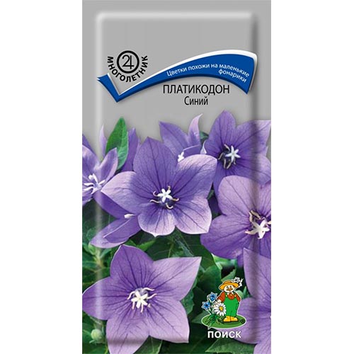 Платикодон Синий, семена изображение 1 артикул 93091