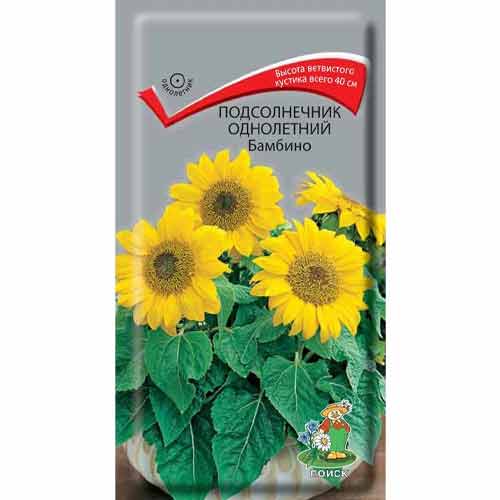 Подсолнечник Бамбино Поиск изображение 1 артикул 97897