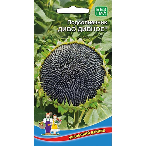 Подсолнечник декоративный Диво дивно, семена изображение 1 артикул 94839