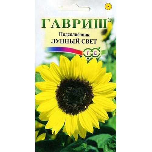 Подсолнечник декоративный Лунный свет, семена изображение 1 артикул 92197