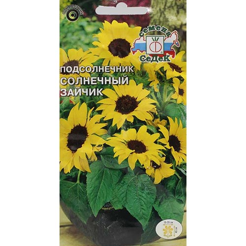 Подсолнечник декоративный Солнечный зайчик, семена изображение 1 артикул 93951