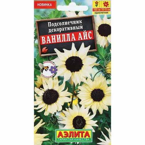Подсолнечник декоративный Ванилла айс Аэлита изображение 1 артикул 99131