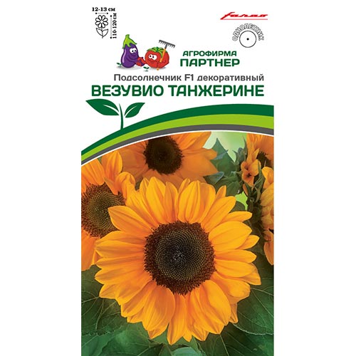 Подсолнечник декоративный Везувио Танжерине F1, семена изображение 1 артикул 92696