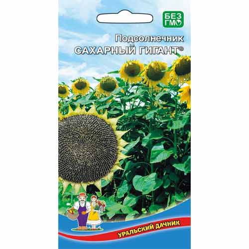 Подсолнечник Сахарный гигант, семена изображение 1 артикул 94659