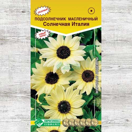 Подсолнечник Солнечная Италия изображение 1 артикул 83465