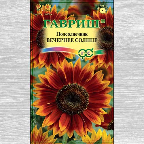 Подсолнечник декоративный Вечернее солнце Гавриш изображение 1 артикул 73899