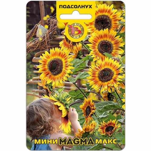 Подсолнух Мини-Макс Магма Биотехника изображение 1 артикул 40415