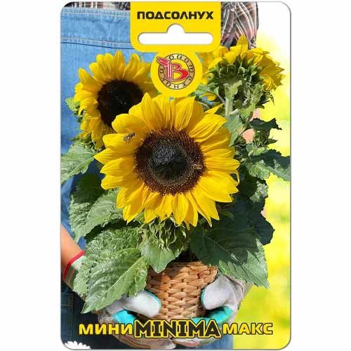 Подсолнух Мини-Макс Минима F1 Биотехника изображение 1 артикул 40413
