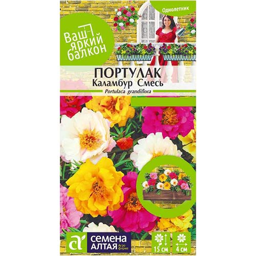 Портулак Каламбур, смесь окрасок Семена Алтая артикул фото 1 Портулак Каламбур, смесь окрасок Семена Алтая изображение 1 артикул 78309