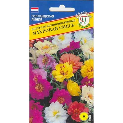 Портулак махровый крупноцветковый Престиж артикул фото 1 Портулак махровый крупноцветковый Престиж изображение 1 артикул 71562