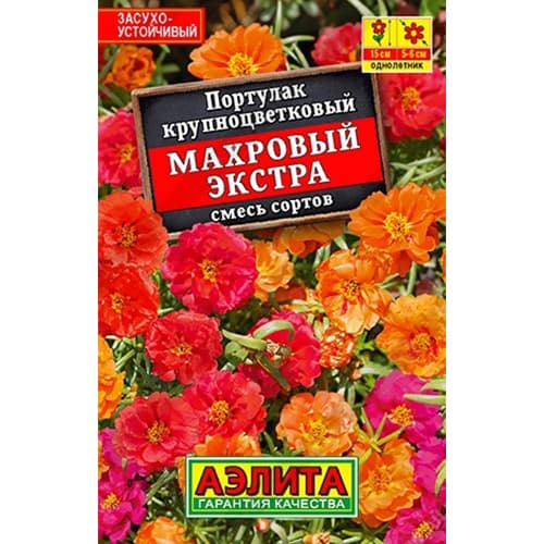 Портулак махровый Экстра, смесь окрасок Аэлита артикул фото 1 Портулак махровый Экстра, смесь окрасок Аэлита изображение 1 артикул 40401