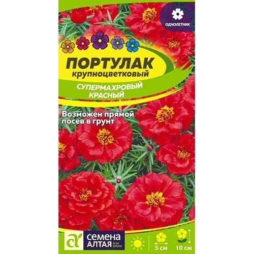 Портулак супермахровый красный Семена Алтая артикул фото 1 Портулак супермахровый красный Семена Алтая изображение 1 артикул 81780