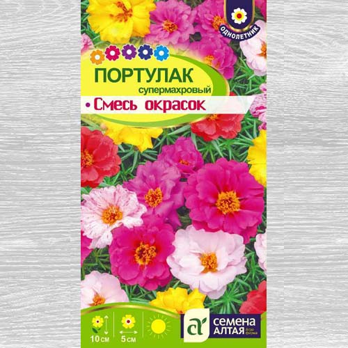 Портулак Супермахровый, смесь окрасок изображение 1 артикул 78170