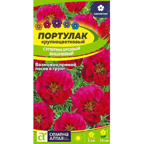 Портулак супермахровый вишневый Семена Алтая артикул фото 1 Портулак супермахровый вишневый Семена Алтая изображение 1 артикул 81779