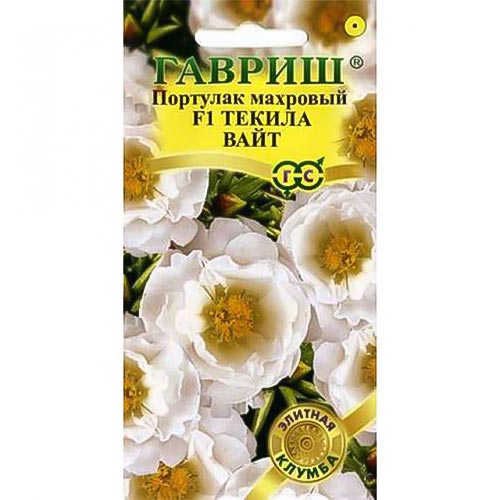 Портулак Текила Вайт F1, семена изображение 1 артикул 92202