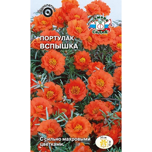 Портулак Вспышка, семена изображение 1 артикул 93953