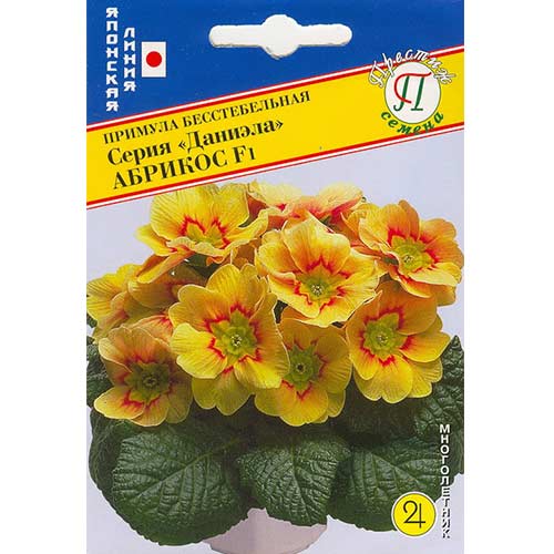Примула Даниела абрикос F1 Престиж изображение 1 артикул 71563