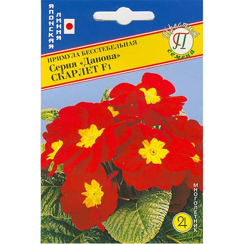 Примула Данова Скарлет F1 Престиж изображение 1 артикул 71567