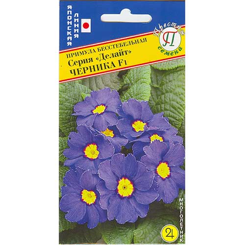 Примула Делайт Черника F1 Престиж изображение 1 артикул 71570