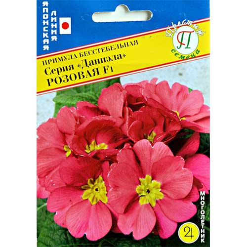 Примула Даниела розовая F1 Престиж изображение 1 артикул 84539