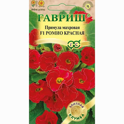 Примула махровая Ромио красная F1 Гавриш изображение 1 артикул 73747