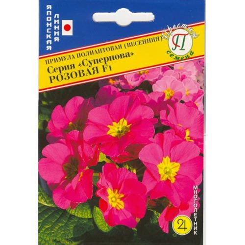 Примула Розанна F1, смесь окрасок Престиж артикул фото 1 Примула Розанна F1, смесь окрасок Престиж изображение 1 артикул 83159
