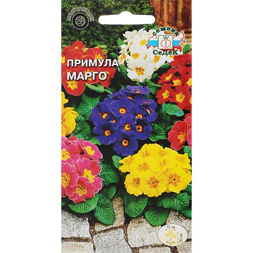 Примула Марго, смесь окрасок артикул фото 1 Примула Марго, смесь окрасок изображение 1 артикул 93958