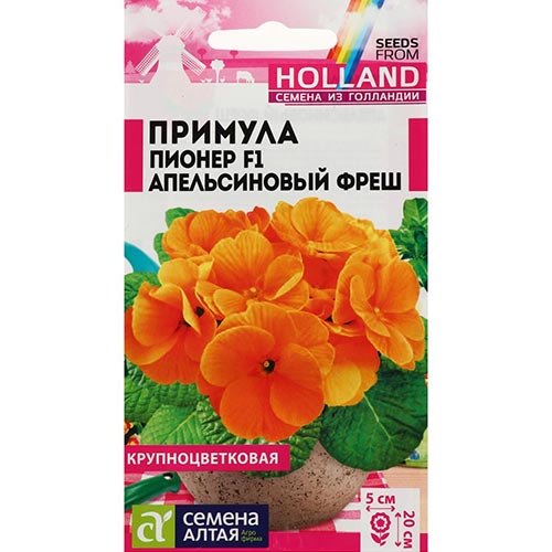Примула Пионер Апельсиновый Фреш, семена артикул фото 1 Примула Пионер Апельсиновый Фреш, семена изображение 1 артикул 94210