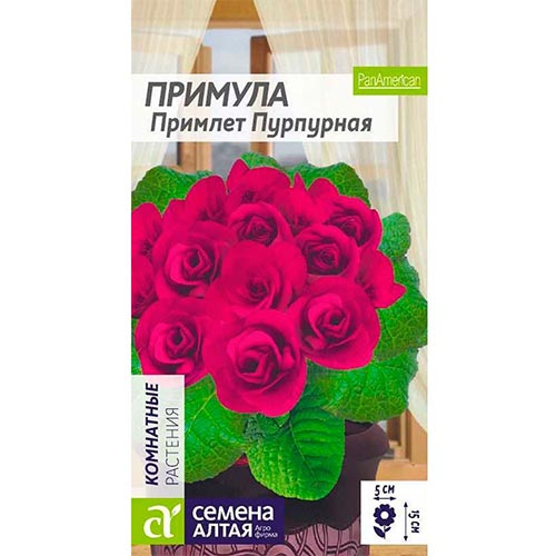 Примула Примлет Пурпурная, семена артикул фото 1 Примула Примлет Пурпурная, семена изображение 1 артикул 94212
