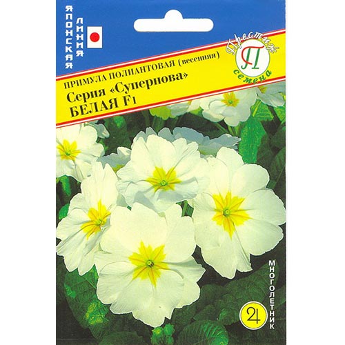 Примула Супернова белая F1 Престиж изображение 1 артикул 84541