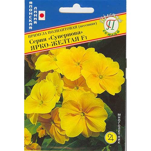 Примула Супернова ярко-желтая F1 Престиж изображение 1 артикул 84542