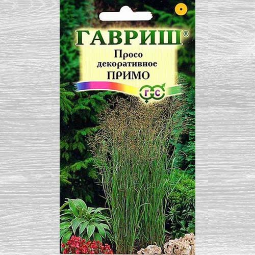Просо декоративное Примо Гавриш артикул фото 1 Просо декоративное Примо Гавриш изображение 1 артикул 73903