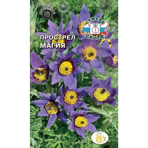 Прострел Магия, семена изображение 1 артикул 93960