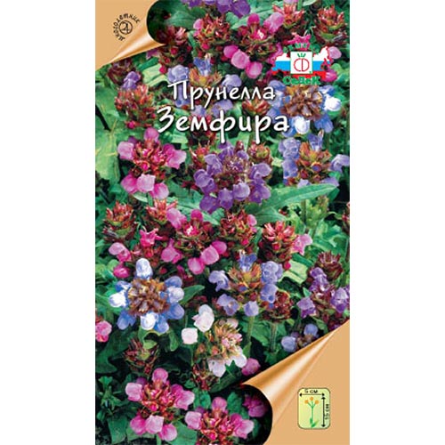 Прунелла Земфира, семена артикул фото 1 Прунелла Земфира, семена изображение 1 артикул 93962