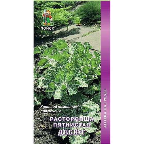 Расторопша Дебют, семена изображение 1 артикул 92796
