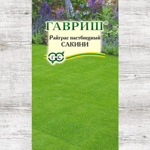 Райграс пастбищный Сакини Гавриш изображение 1 артикул 85026