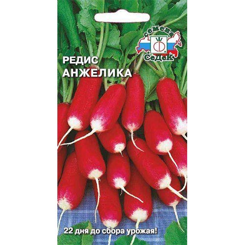 Редис Анжелика, семена изображение 1 артикул 93510