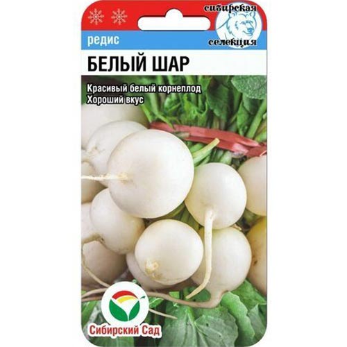 Редис Белый шар Сибирский сад изображение 1 артикул 71783