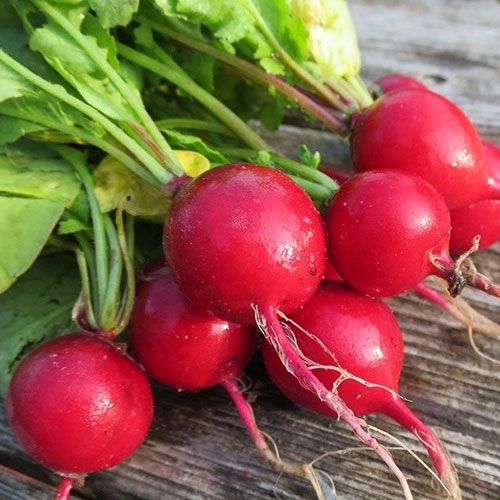 Редис Чудо хрустик F1 Premium Seeds изображение 1 артикул 83816