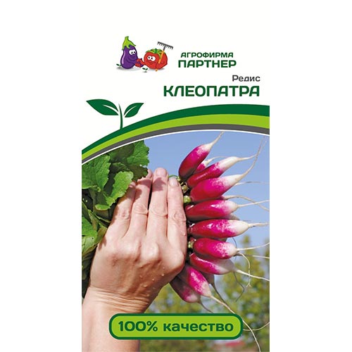 Редис Клеопатра, семена изображение 1 артикул 92678