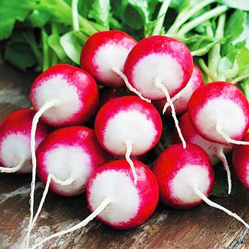 Редис Красное и белое Уральский дачник изображение 1 артикул 74230