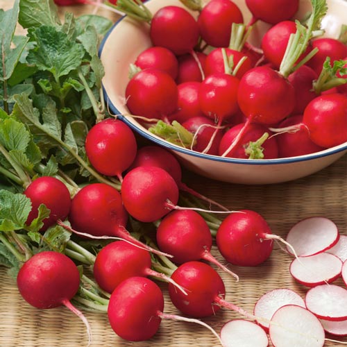 Редис Прометей F1 изображение 1 артикул 74921