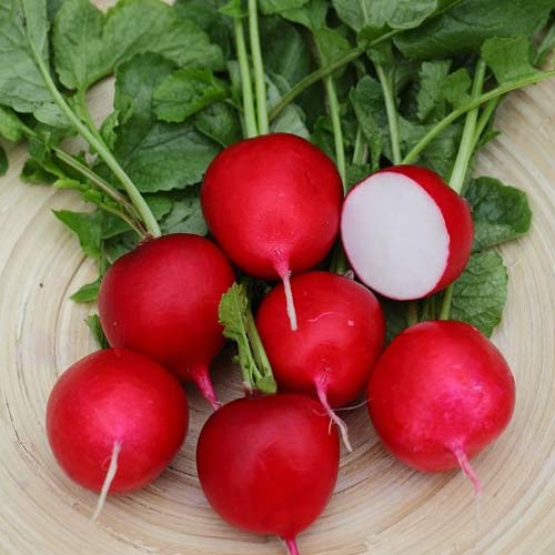 Редис Рембо F1 изображение 1 артикул 69806