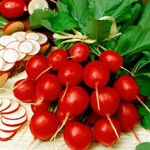 Редис Ультраранний Седек изображение 1 артикул 65146