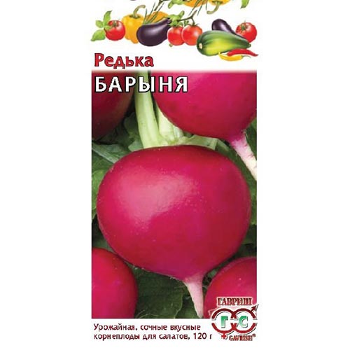 Редька китайская Барыня, семена изображение 1 артикул 91807