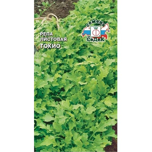 Репа листовая Токио, семена изображение 1 артикул 93527