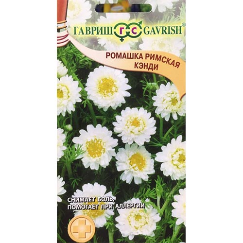 Ромашка аптечная Пупавник благородный Кэнди, семена изображение 1 артикул 91815