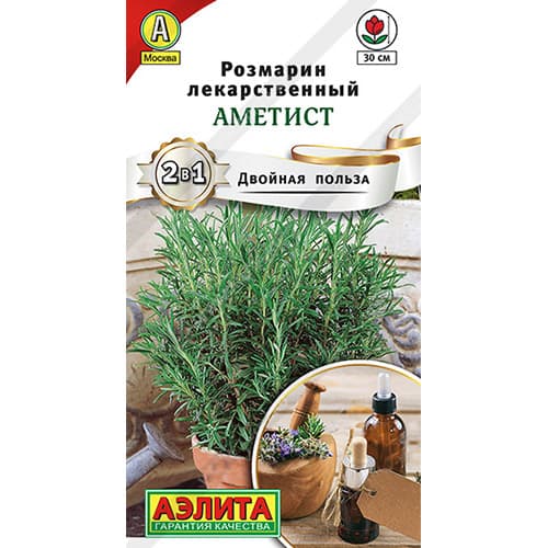 Розмарин Аметист Аэлита артикул фото 1 Розмарин Аметист Аэлита изображение 1 артикул 98519