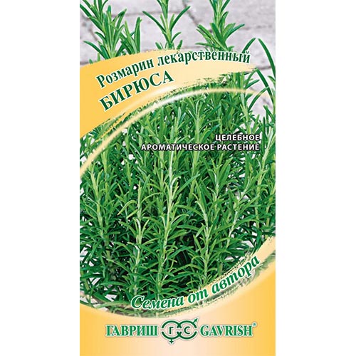Розмарин Бирюса, семена изображение 1 артикул 91814