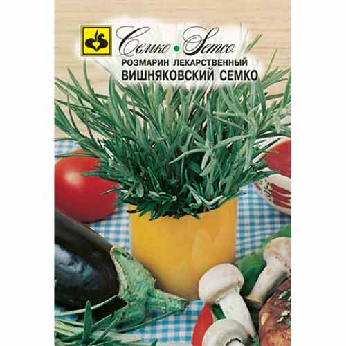 Розмарин Вишняковский Семко изображение 1 артикул 94269